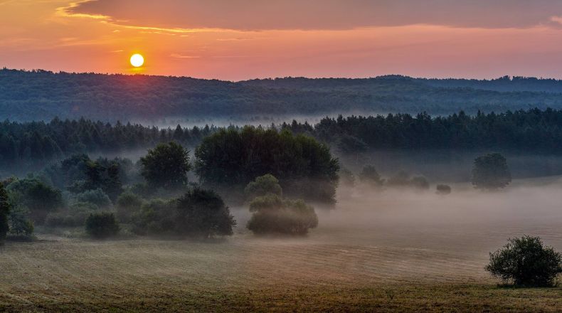 Krystian_Kłysewicz_Murawy kserotermiczne „Dahany”, Stara Huta_5624.jpg