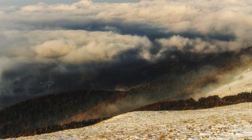 fot. Katarzyna Preus