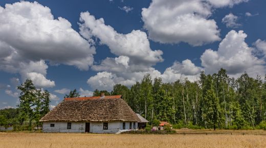 Kamila_Wiśniewska-Hałka_Skansen_w_Kolbuszowej_3687.jpg