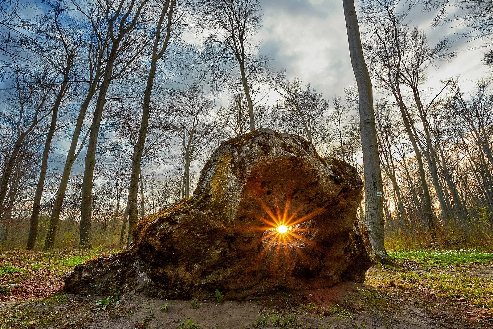 Krystian_Kłysewicz_Świątynia słońca Nowiny Horynieckie_5636.webp [2.36 MB]