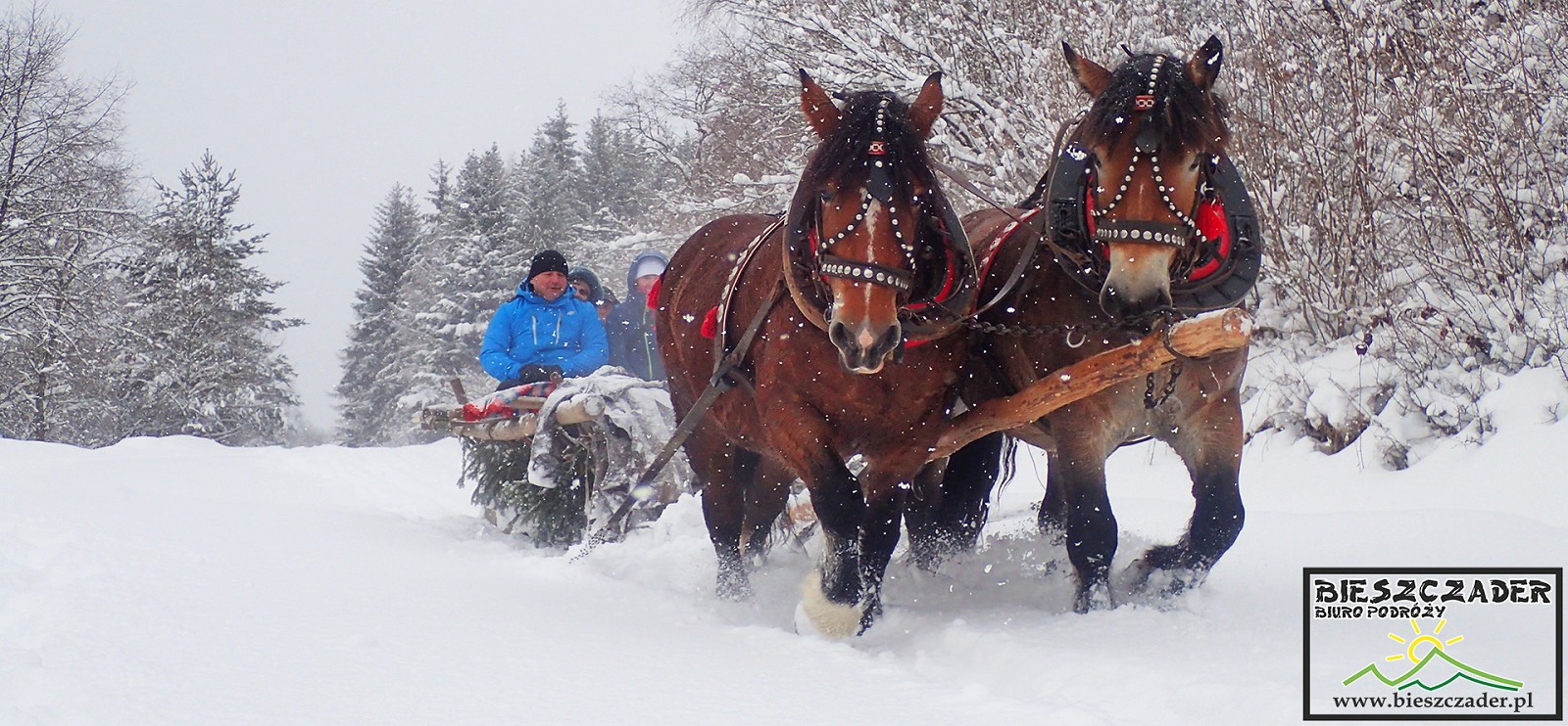 Kulig_w_Bieszczadach.jpg [753.85 KB]