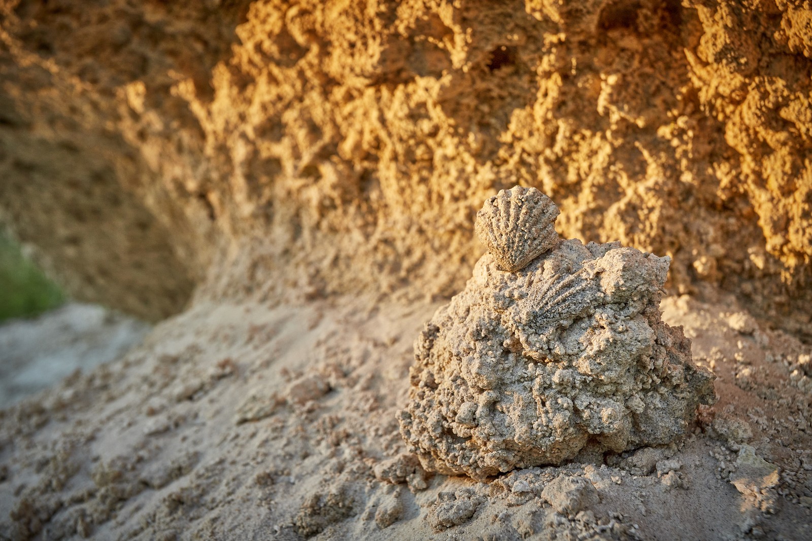Klif morza mioceńskiego Huta Różaniecka 13.jpg [6.58 MB]