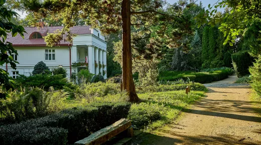 Arboretum w Bolestraszycach, fot. Krystian Kłysewicz