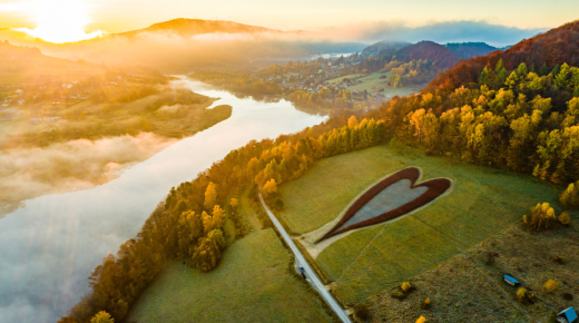 SERCE(1200 x 800 px).png