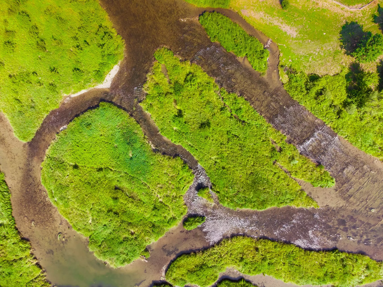 San_Zwierzyń2_fot. Tomasz Kudasik.webp [868.99 KB]