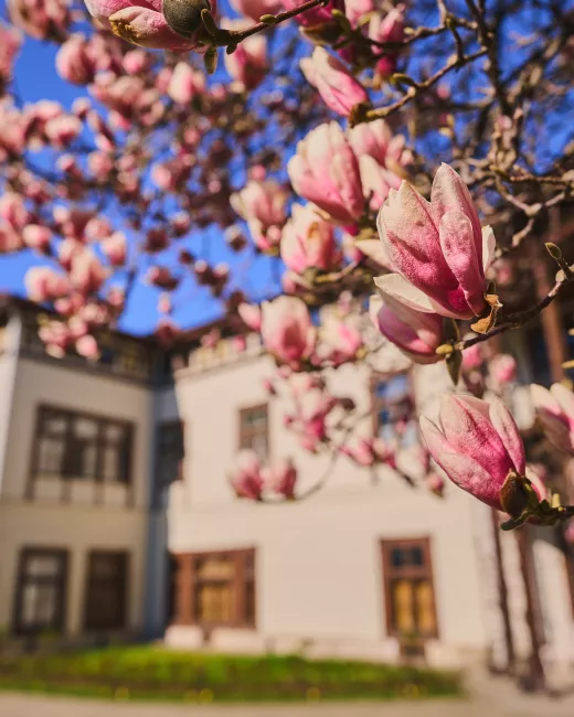 Palace in Przeworsk, photo: Rafał Czepiński
