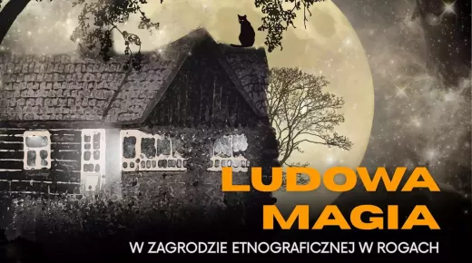 noc muzeów rogi małe.webp