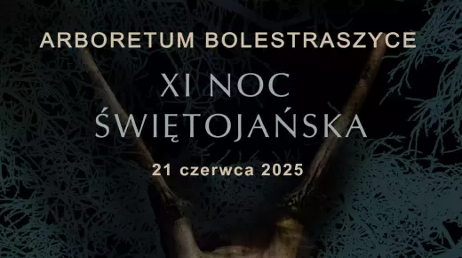 noc swietojanska bolestraszyce małe.webp