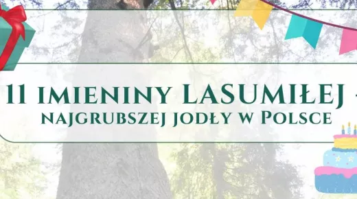 lasumiła-małe.webp
