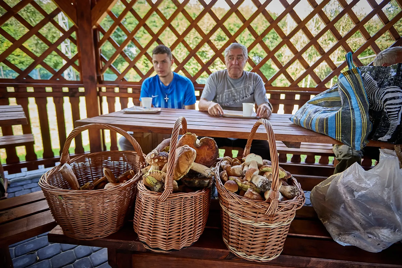 Roztoczański-Król-Grzybobrania-11-_1_.webp [368.87 KB]