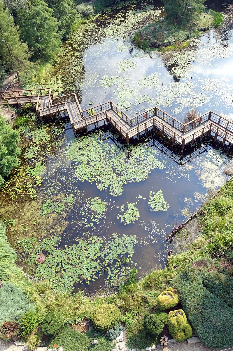 str. 140. Urokliwy staw w bolestraszyckim arboretum, fot. Narcyz Piórecki.webp [5.62 MB]