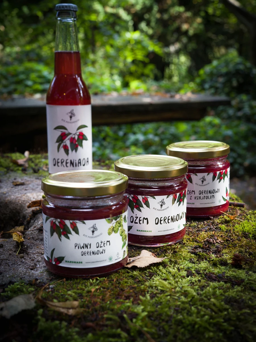 Dereń3_RyśPodkarpacki.webp [434.72 KB]