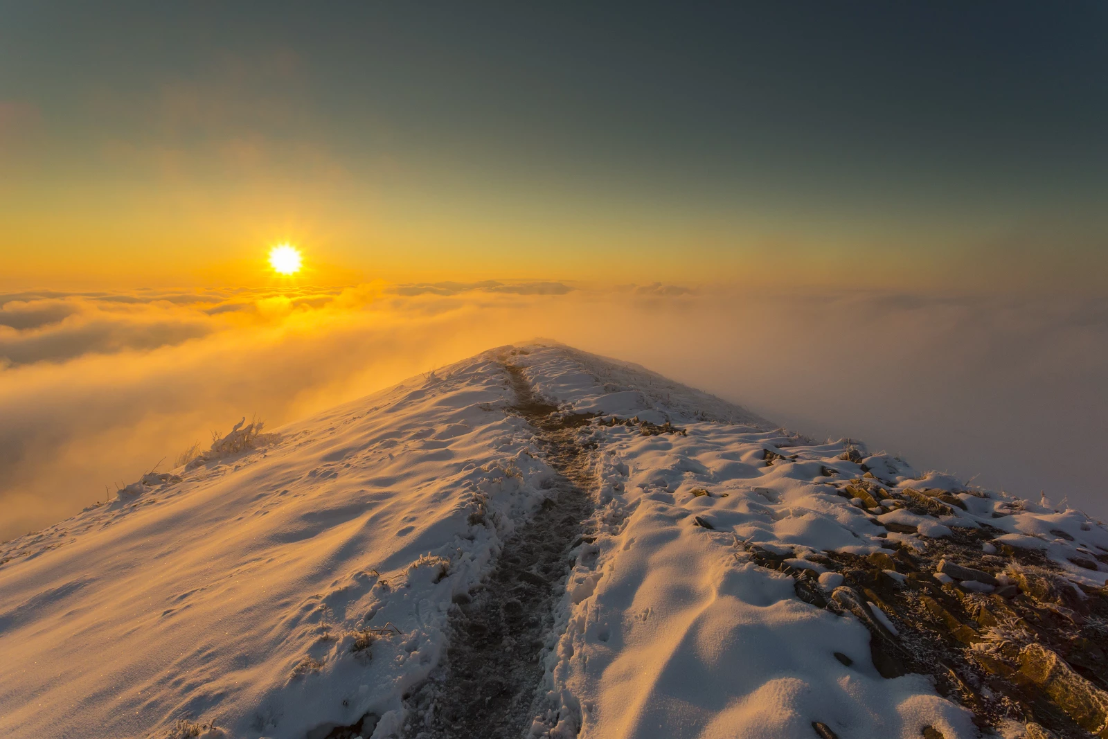 Marcin Jagiellicz Wschód słońca widziany z Połoniny Caryńskiej.webp [2.46 MB]