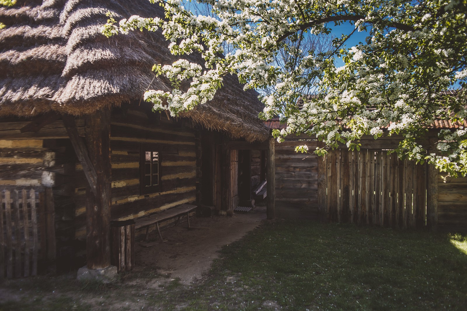 75_2018-04-22, Muzeum Kultury Ludowej w Kolbuszowej.jpg [6.75 MB]