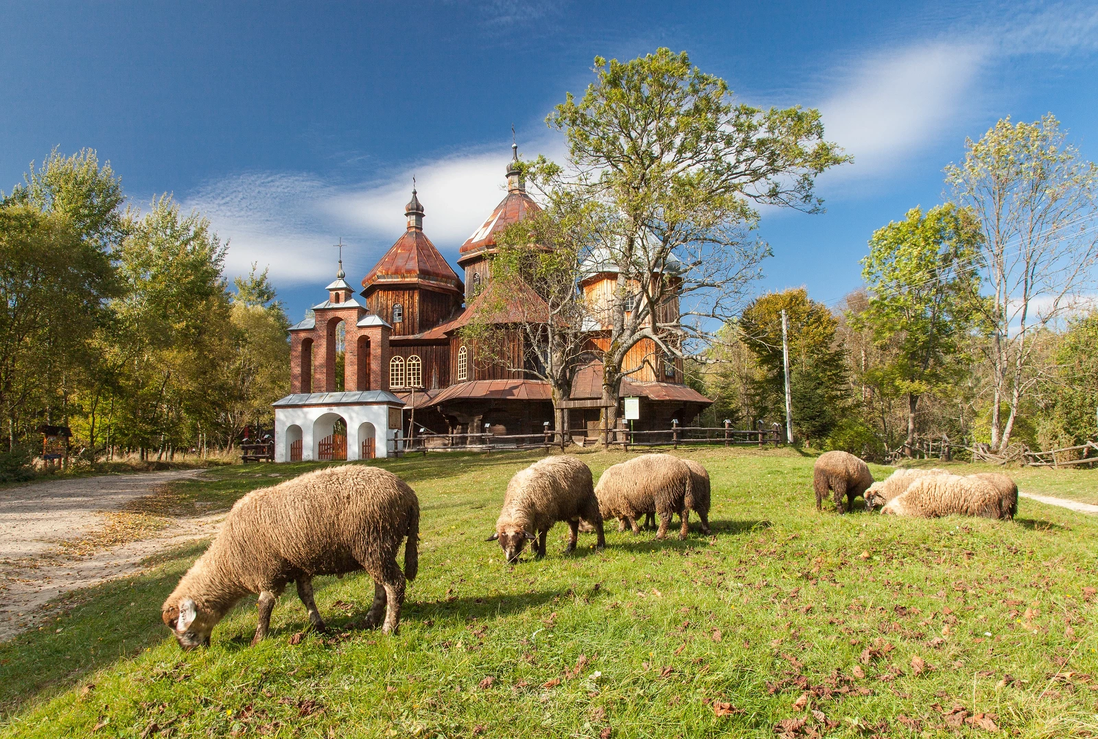 kz_20111001_129 BYSTRE.webp [4.02 MB]