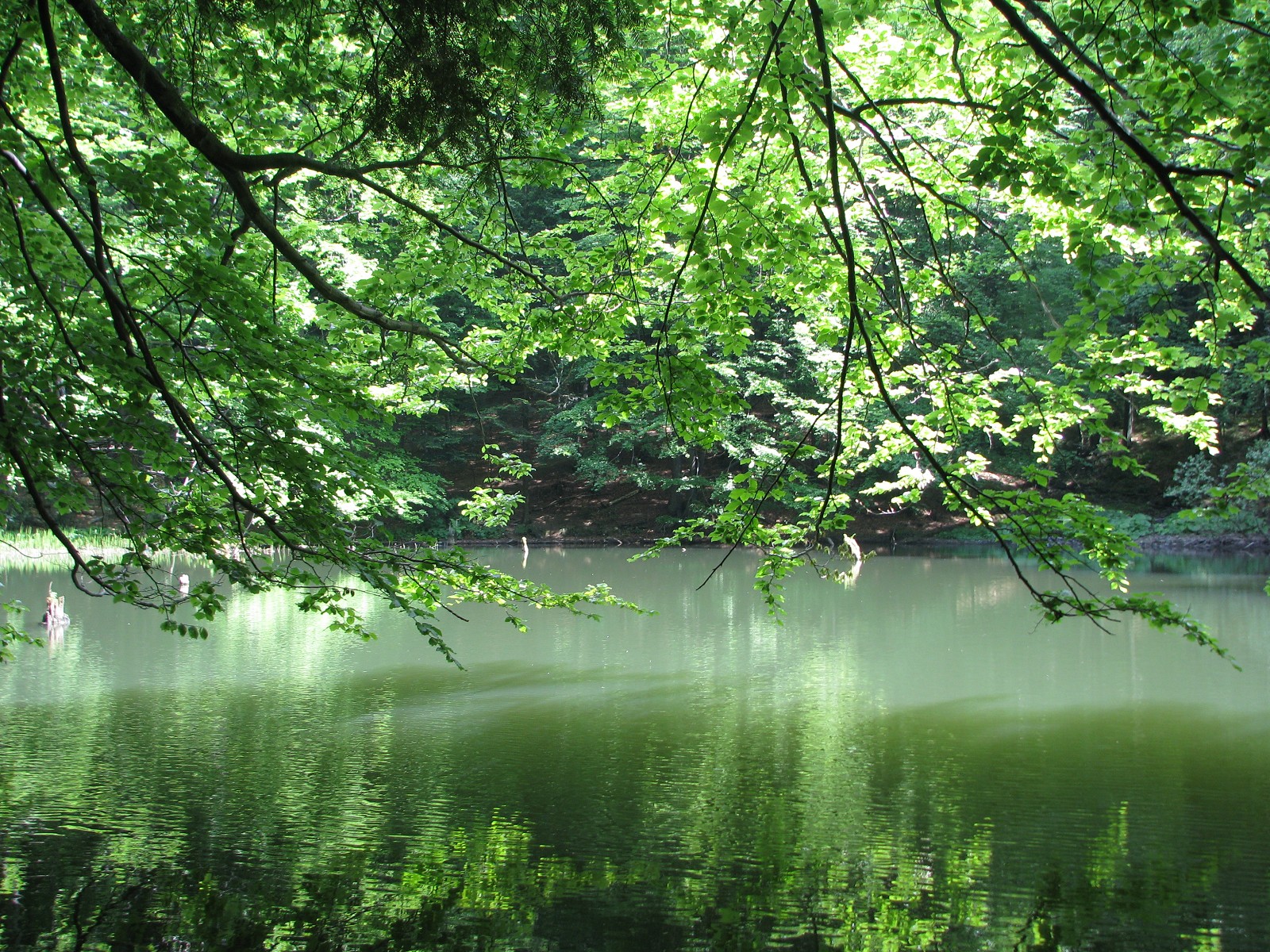 21 Jeziorka Duszatyńskie.jpg [5.27 MB]