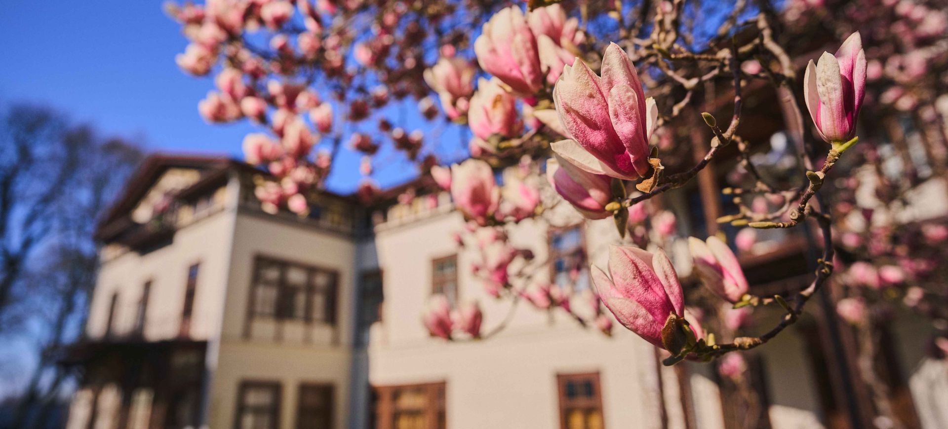 przeworsk wiosna.jpg