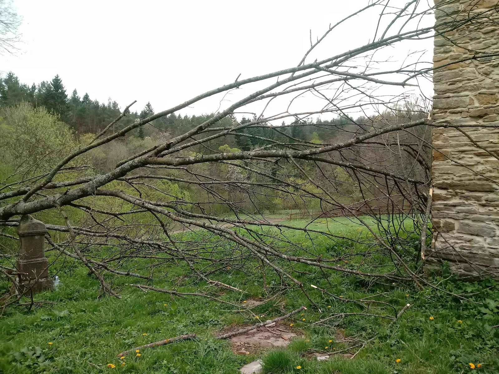 Polany-Surowiczne-_3_-A.-Marzec.webp [1.23 MB]