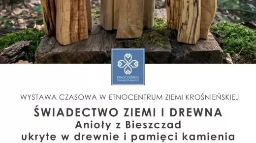 media-anioly-z-bieszczad male.webp